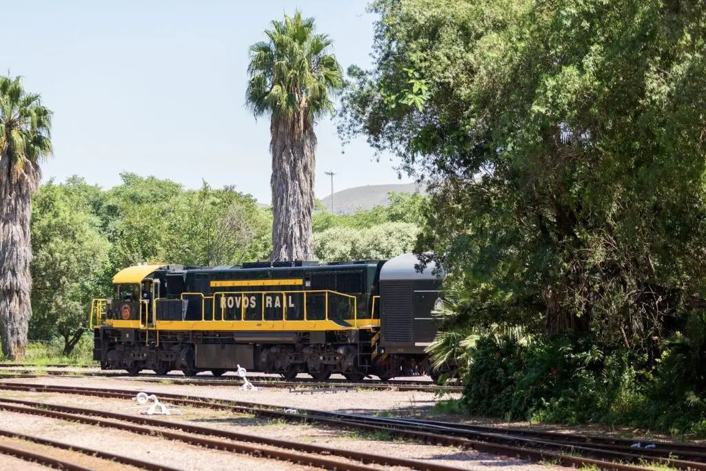 Rovos Rail locomotive among palm trees