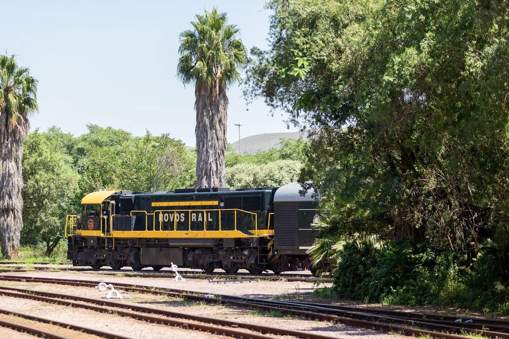 Durban Safari: Pretoria to Durban – Rovos Rail